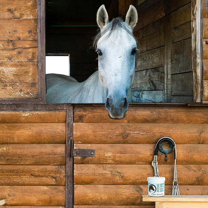 COAT DEFENSE Trouble Spot Drying Paste for Horses - Natural Equine Wound Care That Provides Safe &amp; Effective Relief from Scratches, Sweet Itch, Summer Sores, Proud Flesh, Mud Fever, Girth Rot (24 Oz)