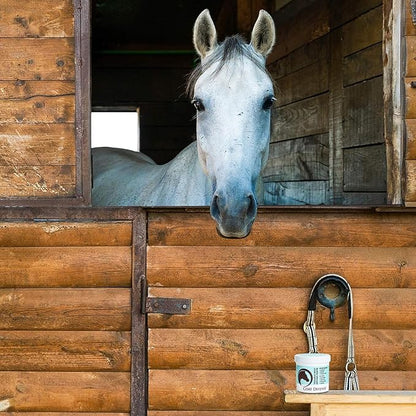 COAT DEFENSE Trouble Spot Drying Paste for Horses - Natural Equine Wound Care That Provides Safe &amp; Effective Relief from Scratches, Sweet Itch, Summer Sores, Proud Flesh, Mud Fever, Girth Rot (24 Oz)