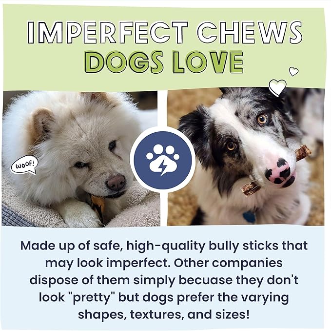 Pawstruck Natural Bizarre Bully Sticks Bargain Bag for Dogs &amp; Puppies - Variety Pack of 8-12" Long Lasting Eco-Conscious Beef Chew Treats - 1 lb. Bag - Packaging May Vary