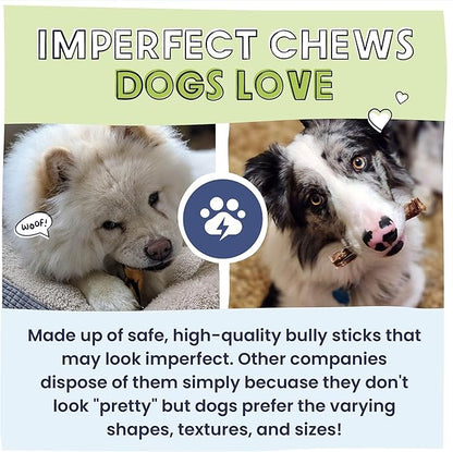 Pawstruck Natural Bizarre Bully Sticks Bargain Bag for Dogs &amp; Puppies - Variety Pack of 8-12" Long Lasting Eco-Conscious Beef Chew Treats - 1 lb. Bag - Packaging May Vary
