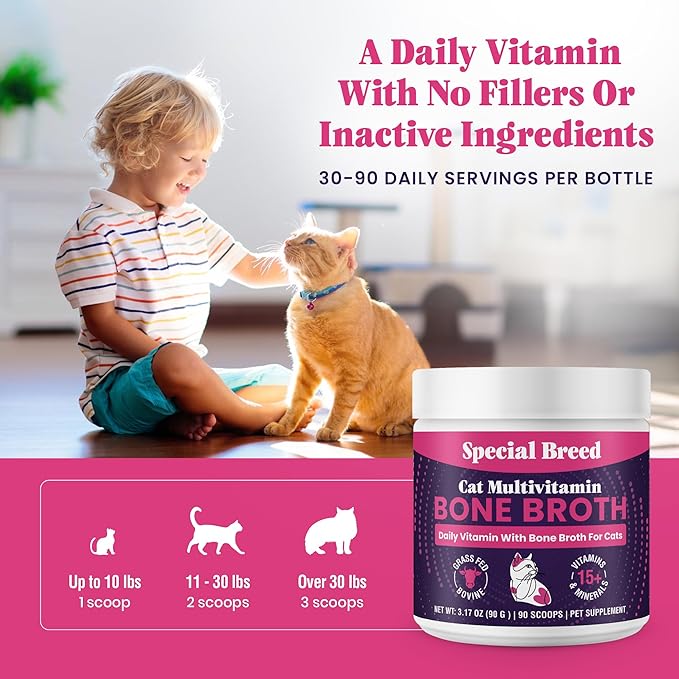 Cat Multivitamin with Grass-Fed Beef Bone Broth – Daily Supplement for Immune, Joint, Skin, Coat &amp; Gut Health – Omega 3s, Lysine, Beta Glucan, Vitamins A-E, C, D – 90 Day Supply – No Fillers