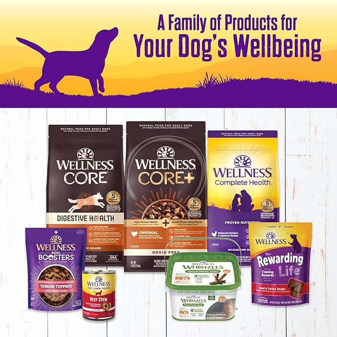 Wellness Complete Health Thick &amp; Chunky Natural Canned Wet Dog Food, Lamb &amp; Beef Stew, 12.5-Ounce Can (Pack of 12)