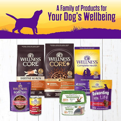 Wellness Complete Health Thick &amp; Chunky Natural Grain Free Canned Wet Dog Food, Chicken Stew, 12.5-Ounce Can (Pack of 12)