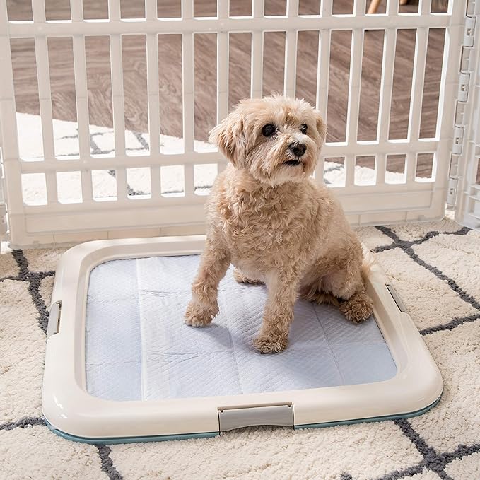 IRIS USA Pee Pad Holder - For Potty Training Regular Sized Dog &amp; Puppy Pee Pads, Secured Latches, Non-Skid Feet, Leak Protection, Fits 22"x22" Pad or Larger, Square, Blue