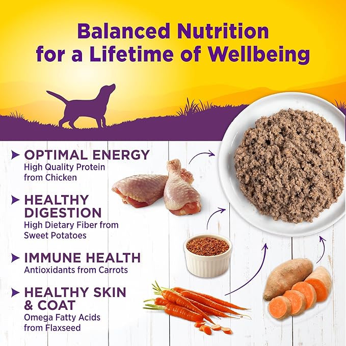 Wellness Complete Health Natural Wet Canned Dog Food, Chicken &amp; Sweet Potato, 12.5-Ounce Can (Pack of 12)