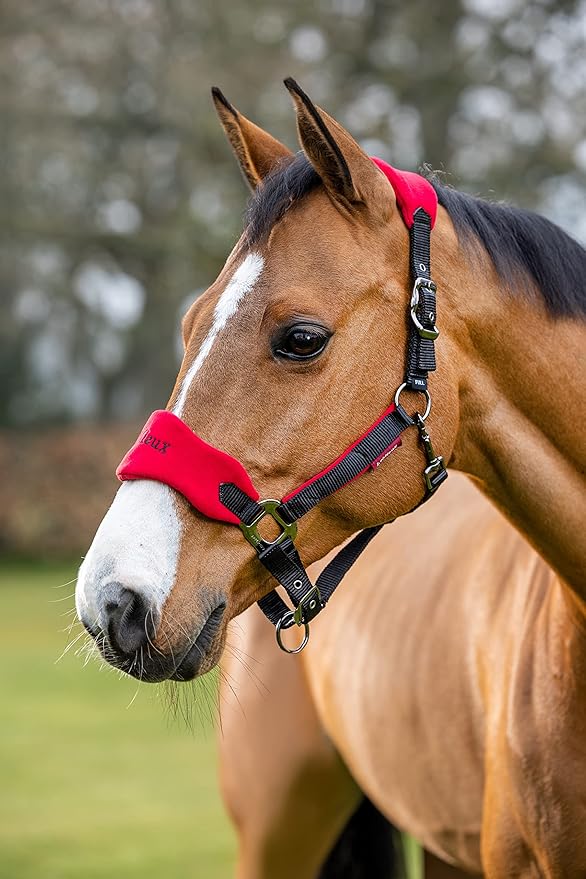 LeMieux Vogue Fleece Headcollar - Halter &amp; Leadrope - Extra Padding, Adjustable at Curb and Poll Strap