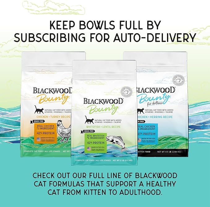 Blackwood Bounty Dry Cat Food, Whitefish &amp; Lentil Recipe for All Life Stages, 2 Pound Bag, High Protein, Grain Free (Pack of 4)