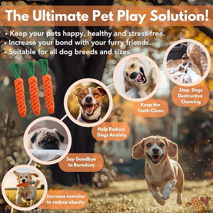 3PCS Orange Woven Pet Chew Set, Puppy Teething Chews, Dog Chew Treats, Cat Teething Playset, Safe Braided Chews for Pets, Durable &amp; Interactive