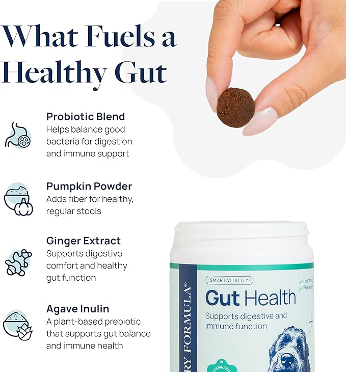 Veterinary Formula Gut Health Supplement for Dogs – Vet-Formulated Probiotic Chews with Digestive Enzymes &amp; Fiber – Smart Vitality Supports Digestive Health, Gut Balance &amp; Stool Quality, 60 Soft Chews