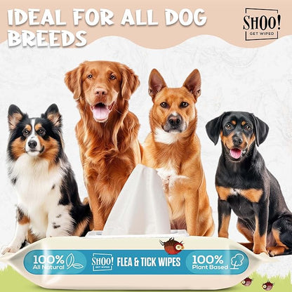 Shoo! Flea &amp; Tick Wipes for Dogs | Convenient, Easy On-The-Go Protection | Plant Based, Natural Oils, Chemical Free | Repels &amp; Prevents | 50 XL Wipes | (Morning Freshness)