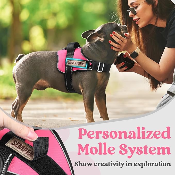 rabbitgoo Dog Harness Medium Sized, Easy On Pet Vest with One Buckle, No Pull Adjustable Service Harness with D-Ring &amp; Handle, Reflective for Safety Walking, Training, Pink, M