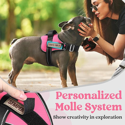 rabbitgoo Dog Harness Medium Sized, Easy On Pet Vest with One Buckle, No Pull Adjustable Service Harness with D-Ring &amp; Handle, Reflective for Safety Walking, Training, Pink, M