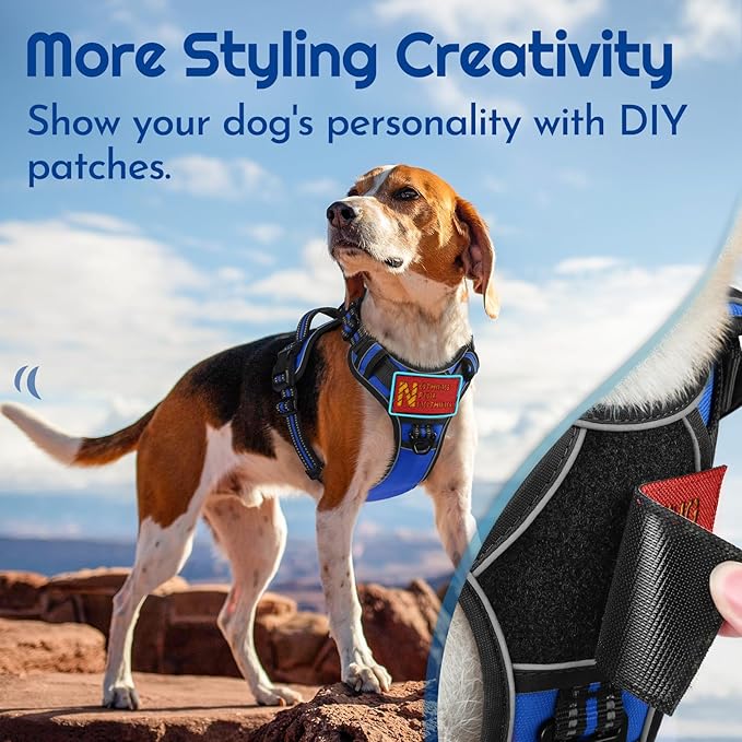 Eagloo Dog Harness for Large Dogs, Easy Wearing with 3 Buckles, Adjustable No Pull Pet Harness with 2 Rings for Walking, No Chock Reflective Soft Padded Vest with Control Handle, Blue &amp; Black, XL