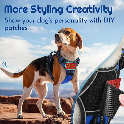 Eagloo Dog Harness for Large Dogs, Easy Wearing with 3 Buckles, Adjustable No Pull Pet Harness with 2 Rings for Walking, No Chock Reflective Soft Padded Vest with Control Handle, Blue &amp; Black, XL