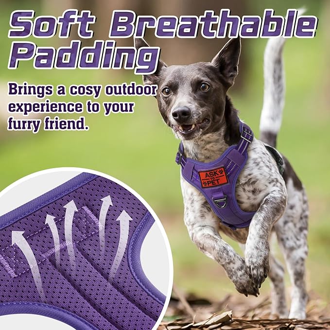 rabbitgoo Tactical Dog Harness for Small Dogs, No Pull Military Service Vest with Handle &amp; Molle, Easy Control for Training Walking, Adjustable Reflective Straps, Purple, S