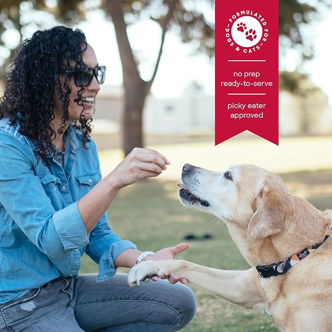 smallbatch Freeze Dried Dog Treats, Superfood Food Topper Beef Bites for Dogs &amp; Cats, Probiotics, Organic Ingredients, High Protein, Grain Free Healthy Treat Food Topper, Made in The USA, 7 oz Bag