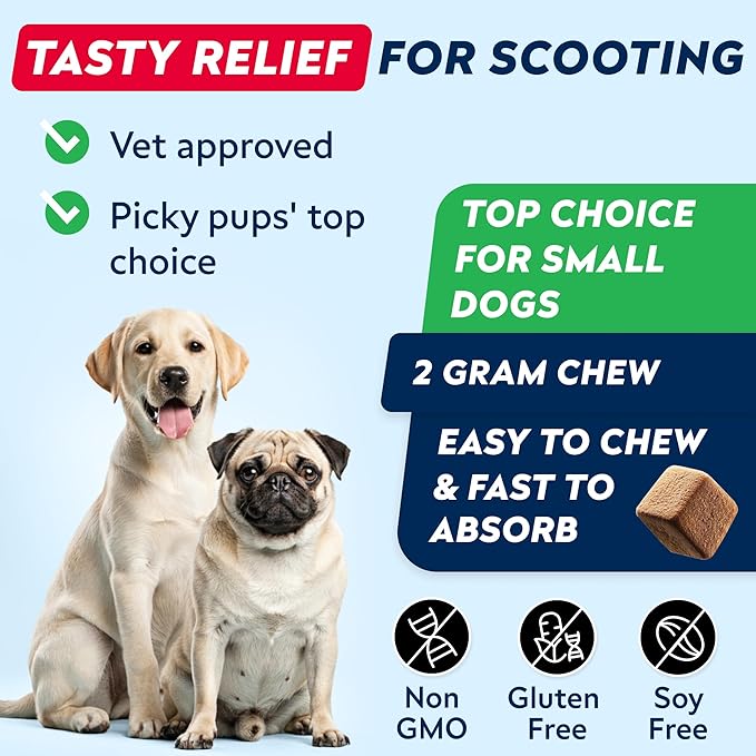 STRELLALAB Anal Gland Support Chews - Scoot Treatment - Digestive Enzymes, Prebiotics &amp; Fiber Supplement for Dogs Digestion &amp; Gut Health. Proprietary Blend of Beet, Psyllium, Dandelion &amp; Pumpkin 120Ct