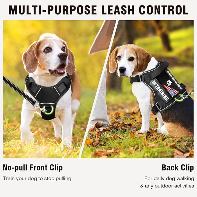 WINSEE Service Dog in Training Harness with 5 PCS Patches, Reflective Tactical Dog Vest Harness, Adjustable Soft Oxford Pet Harness with Easy Control Handle, Hook &amp; Loop Panels for Walking Hiking