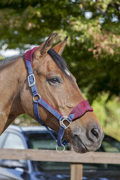 LeMieux Vogue Fleece Headcollar - Halter &amp; Leadrope - Extra Padding, Adjustable at Curb and Poll Strap