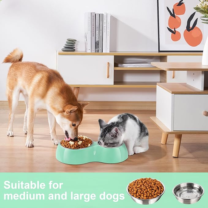Elevated Dog Bowls Set - Non-Slip Raised Pet Feeder with Medium (2 Cups) &amp; Large (4 Cups) Stainless Steel Bowls - Includes Durable Resin Stand for Puppies, Adult Dogs &amp; Cats - Green