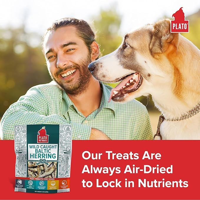 PLATO Pet Treats Fish Dog Treats - Air-Dried, Single Ingredient Dog Treat - with Omega 3 &amp; 6 Fatty Acids to Support Skin and Coat - 100% Whole Fish - Wild Caught Baltic Herring Dog Treats - 8.5 oz