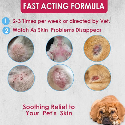 Truseb Topical Ketoconazole and Chlorhexidine Shampoo for Dogs, Cats &amp; Horses with Aloe Vera and Conditioner(USA) (Ketoconazole &amp; Chlorhexidine Shampoo, 16 oz)