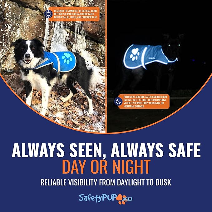 Dog Reflective Vest – Hi-Vis Fluorescent Visibility That Helps to Safeguard Your Pet On/Off Leash in Urban &amp; Rural Areas (Blue, X-Large)