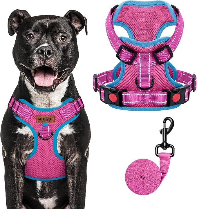 MIDOG No-Pull Dog Harness | Adjustable &amp; Reflective Pet Harness Leash Set for Small Medium Large Dogs Walking, Training| No Choke, Front Clip, Soft Padded Vest with Easy Control Handle - Pink, L