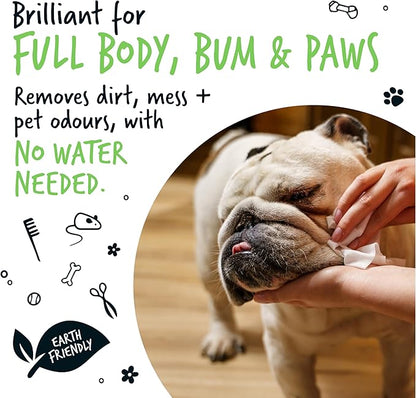 Dog Wipes, 100% Plastic Free Biodegradable pet Wipes for Full Body, Eye Wipes, Ear Wipes, Bum &amp; Paws. 110 Sensitive Dog Grooming Wipes for Dogs, Puppy &amp; cat Grooming (Fragrance Free)