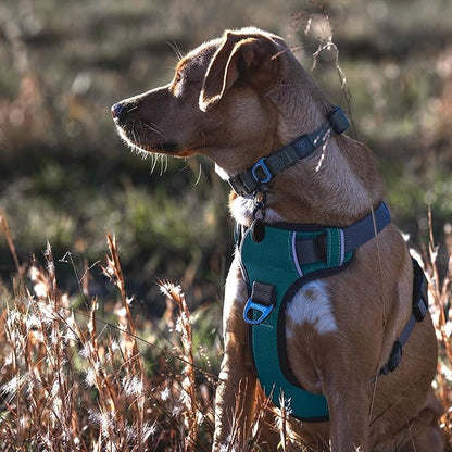 Embark Adventure Dog Harness, Reflective Trim XL Dog Harness for Extra Large Dogs No Pull - Military Grade Nylon, 2 Leash Clips &amp; Gel Lined Handle. Soft &amp; Padded Puppy