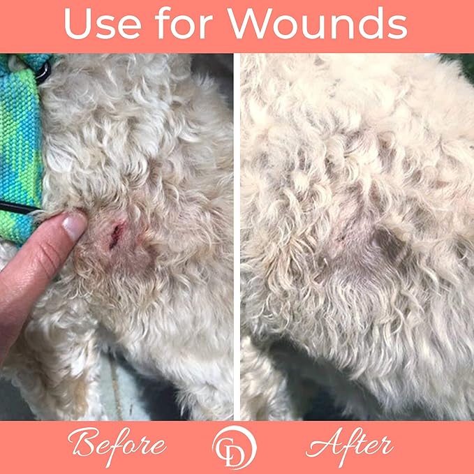 COAT DEFENSE Trouble Spot Drying Paste - Made in USA - 5 Oz Dog &amp; Cat Skin Care, Itchy Skin &amp; Allergies, Alleviates Hot Spots for Dogs &amp; Cats, Insect Bites Relief &amp; Dog Wound Care