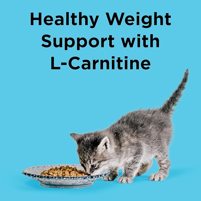BIXBI Liberty Dry Food Indoor Cat Health Chicken &amp; Salmon Recipe, 3lb