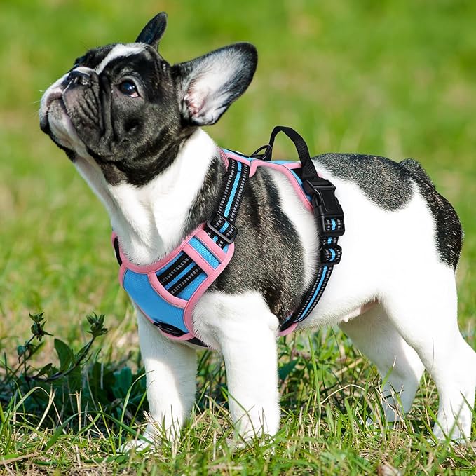 Eagloo Dog Harness Small Sized Dog, No Pull Service Vest with Reflective Strips and Control Handle, Adjustable and Comfortable for Walking, No Choke Pet Harness with 2 Metal Rings, Pink &amp; Blue, S