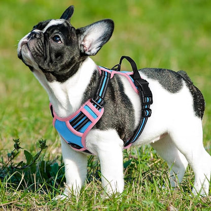 Eagloo Dog Harness Small Sized Dog, No Pull Service Vest with Reflective Strips and Control Handle, Adjustable and Comfortable for Walking, No Choke Pet Harness with 2 Metal Rings, Pink &amp; Blue, S