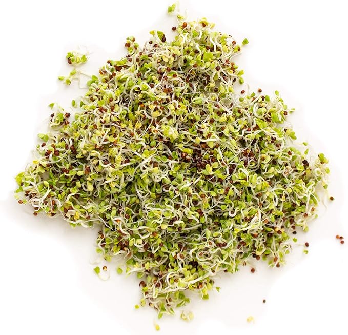Handy Pantry Organic Birdseed - 1 Lb - Sprouting Bird Seed Mix for Small, Medium &amp; Large Birds- Feed for Songbirds, Parakeets, Parrots, etc