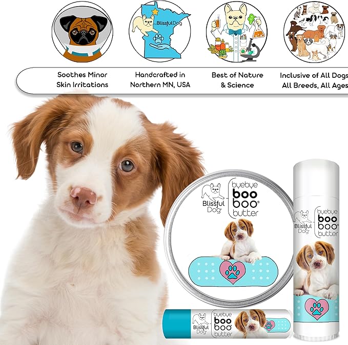 The Blissful Dog .15 oz Tube Brittany Booboo Butter