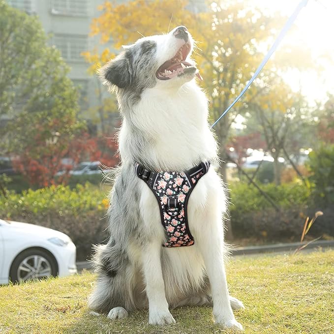 Timos No Pull Dog Harness,NO Need Go Over Dogs Head 3 Snap Buckles Reflective Oxford No Choke Harness with Front&amp;Back 2 Metal Leash Clips Soft Padded for Small Medium Large Dogs,X-Large (Pack of 1)