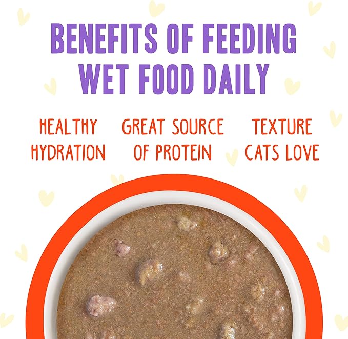 Weruva B.F.F. OMG - Best Feline Friend Oh My Gravy!, Chicken &amp; Salmon Stir It Up with Chicken &amp; Salmon in Gravy, 5.5oz Can (Pack of 8)