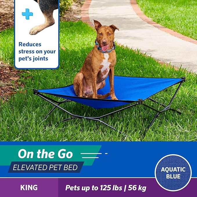Coolaroo On-The-Go Elevated Dog Bed - Foldable Pop-Up Travel Dog Bed with Breathable, Moisture-Resistant Fabric, Carry Bag Included, Lightweight &amp; Portable, Aquatic Blue, Extra Large