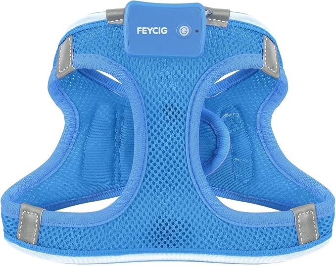 Light Up Dog Harness,Rechargeable LED Dog Harness for Small Medium Large Dogs,Reflective Lighted Safety Vest for Night Walking &amp; Camping,Lightweight &amp; Adjustable,Sky Blue,M