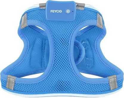 Light Up Dog Harness,Rechargeable LED Dog Harness for Small Medium Large Dogs,Reflective Lighted Safety Vest for Night Walking &amp; Camping,Lightweight &amp; Adjustable,Sky Blue,L