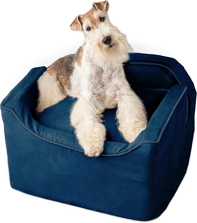 Snoozer Lookout I Car Seat - Dog Car Seats for Small Dogs, Puppy Booster Bed for Small &amp; Medium Sized Pets Up to 25 Lbs, Elevated, Washable - Medium, Sapphire