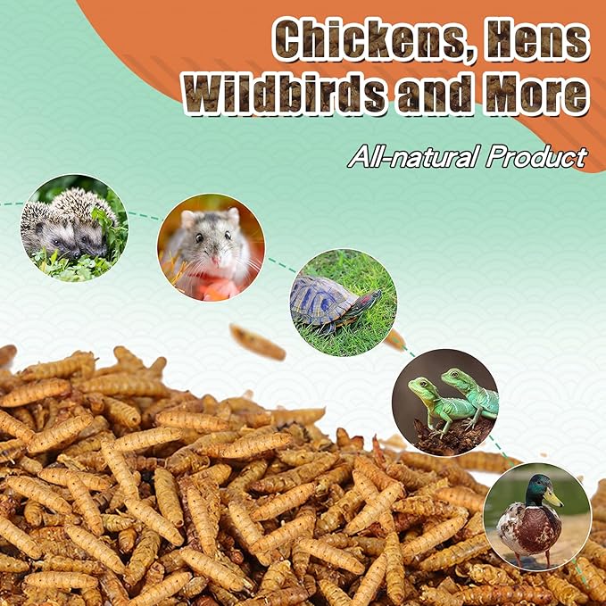 Dried Black Soldier Fly Larvae 10LBS, 85X More Calcium Than Mealworms High-Protein BSF Larvae Chicken Treats Non-GMO BSFL for Chickens, Hens, Ducks, Wild Birds