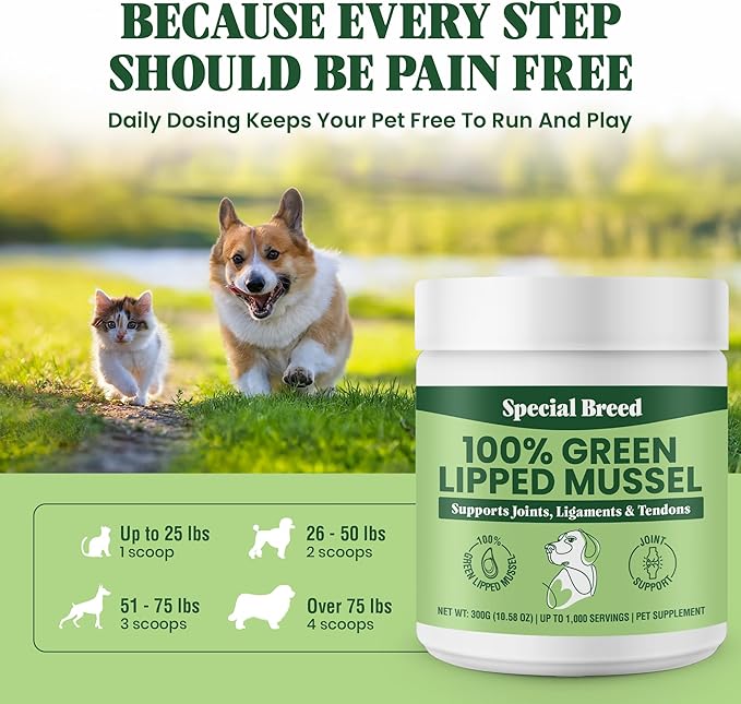 Green Lipped Mussel Powder for Dogs &amp; Cats - 100% New Zealand Green Lipped Mussels - Natural Hip &amp; Joint Supplement for Joints, Tendons, Ligaments, Muscles - 300 Grams - Up to 1,000 Servings