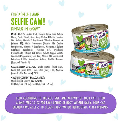 Weruva B.F.F. OMG - Best Feline Friend Oh My Gravy!, Selfie Cam! with Chicken &amp; Lamb in Gravy Cat Food, 2.8oz Can (Pack of 12)