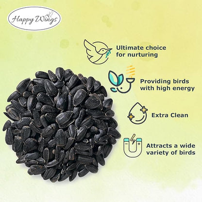 Nyjer Seed &amp; Sunflower Seeds Wild Bird Food Combo - 5 Pound Pack I No Grow Seed I Bird Food for Wild Birds