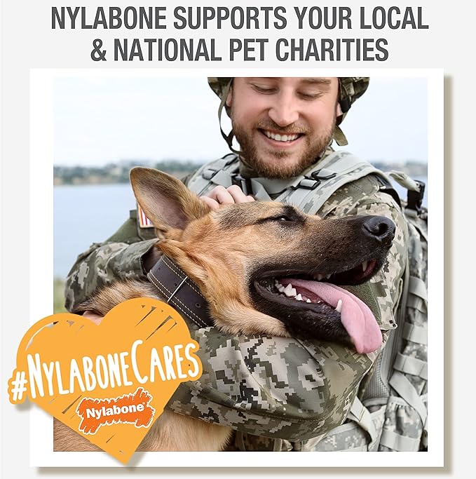 Nylabone Nutri Dent Dog Dental Treats - Natural Dog Teeth Cleaning &amp; Breath Freshener - Dental Treats for Dogs - Filet Mignon Flavor, Mini (78 Count)