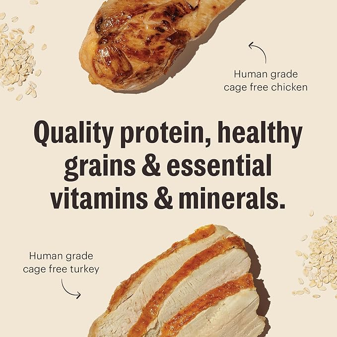The Honest Kitchen Essential Clusters Dog Whole Grain Turkey &amp; Chicken 5 lb Bag