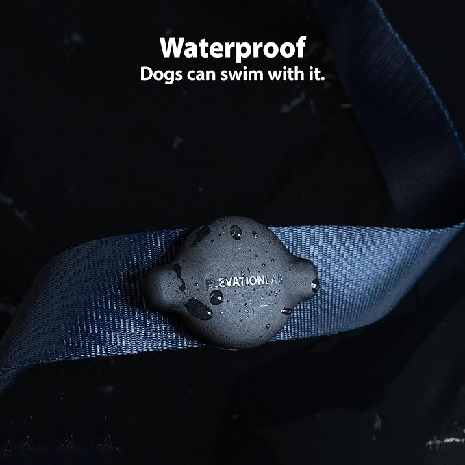 Elevation Lab TagVault™ Compact AirTag Dog Collar Mount (4 Pack) - IP68 Waterproof, Doesn&