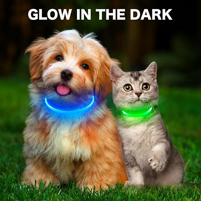 BSEEN Light Up Dog Collar, High Visibility LED Dog Collar Rechargeable- Rainproof TPU Cuttable Glowing Pet Collar for Small Dogs &amp; Cats - Puppy Safety Lights for Night Walking (XS- Blue 40cm)